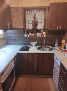 a kitchen with wooden cabinets and a sink at Villa FORESTA in Banja Luka