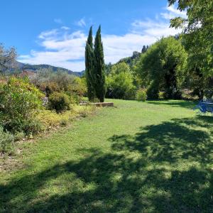 a shadow of a tree on a grass field at Freundliches Haus mit Pool und großem Garten in Buis-les-Baronnies +18 photos