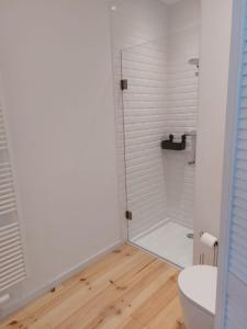 a white bathroom with a shower and a toilet at Entre Deux Eaux in Lanaken