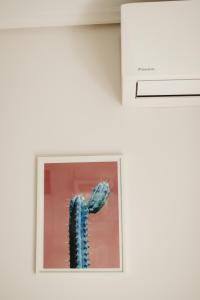 Fotografie z fotogalerie ubytování CACTUS - Blooming Garden Apartments v destinaci Kalamata