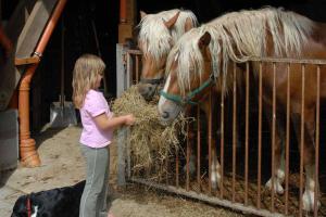 Ein kleines Mädchen füttert zwei Pferde mit Heu in der Unterkunft Ferien- und Freizeithof Bindl in Sankt Englmar