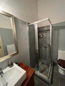 ヴィティナにあるHappy trails Guesthouse Vitinaのシャワー、洗面台、鏡を備えたバスルーム +13枚の写真