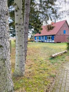 a blue house in a field with trees at Ferienhaus am Seegrund in Ahlbeck