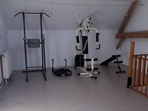een fitnessruimte met diverse fitnessapparatuur in een kamer bij Gîte¨ La Maison du sculpteur ¨ 