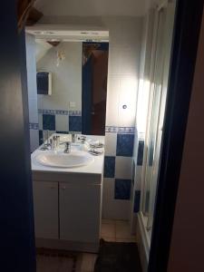 a bathroom with a sink and a mirror at Gîte¨ La Maison du sculpteur ¨ 