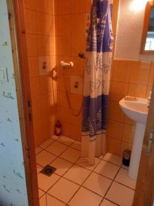 een badkamer met een douche en een wastafel bij La sérénité in Grazac