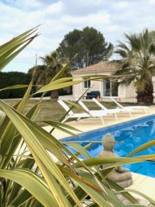 una casa con una piscina y una palmera en Chambre carpediem, en Orange