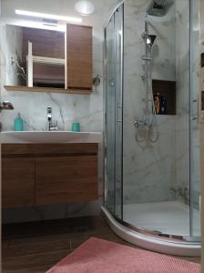 uma casa de banho com uma cabina de duche em vidro e um lavatório. em Alisaxni Seaside Studio em Agios Ioannis Pelio