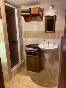 een badkamer met een wastafel en een douche bij Chaloupka Království in Šluknov