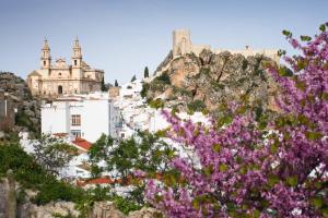 a view of a city with purple flowers at Casa del Arco in Olvera
