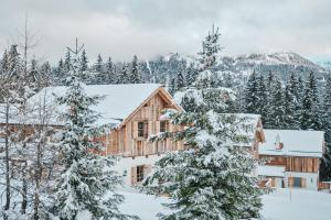 a lodge in the snow with trees at Almdorf Omlach, Fanningberg in Weisspriach