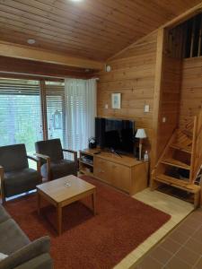 uma sala de estar com um sofá, uma televisão e uma mesa em Vierumäki em Vierumäki