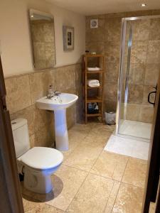 a bathroom with a toilet and a sink and a shower at Dallow Hall Barns in Grantley
