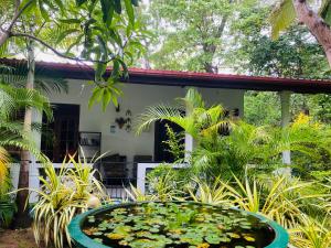 Taman di luar The Jungle Path Lodge