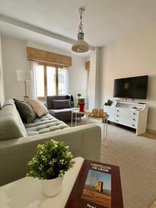 a living room with a couch and a tv at Alojamiento Lope de Fenar in León