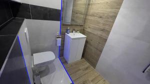 a small bathroom with a toilet and a sink at #1 TGHA Luxury Studio Apartment in Athlone in Athlone