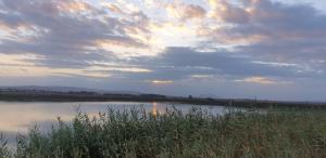 Photo de la galerie de l'établissement גן עדן ביקנעם המושבה, à Yoqne‘am 40 autres photos