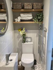 a bathroom with a toilet and a sink and a mirror at Delightful self contained let in a village setting in Merston