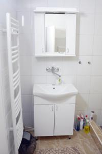 Koupelna v ubytování Apatin apartman