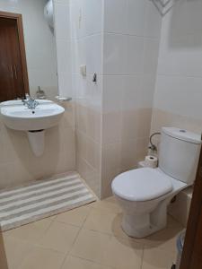 uma casa de banho com um WC e um lavatório em Apartment 322, Villa Park em Borovets