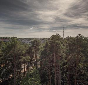 Przyroda w pobliżu tego apartamentu