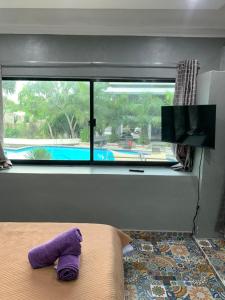 Bazén v ubytování D Sanctum Resort nebo v jeho okolí