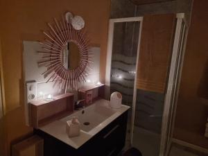 een badkamer met een wastafel, een spiegel en een douche bij Petit cocon quartier historique Chaumont in Chaumont