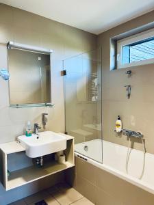 ein Bad mit einem Waschbecken und einer Dusche in der Unterkunft Villa Mari I in Maribor