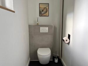 a bathroom with a white toilet in a room at Messe- & Ferienhaus Gertraud am Ludwigskanal, 24 h Self Check-In, Gratis parken in Wendelstein +31 photos