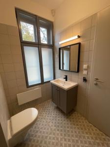 a bathroom with a sink and a toilet and a mirror at Dream Apartman in Levél