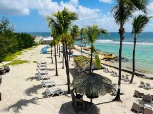 a beach with chairs and palm trees and the ocean at MARCO POLO in Saint-François