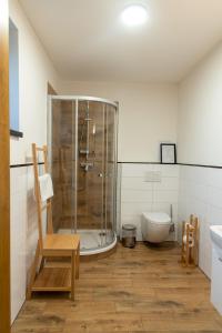 a bathroom with a shower and a toilet and a tub at Chata Viola in Dolní Morava