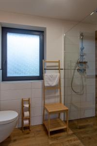 a bathroom with a shower and a toilet and a chair at Chata Viola in Dolní Morava