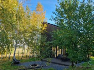 a house in the middle of a field with trees at Drewniany dom w brzozowisku in Pieszyce