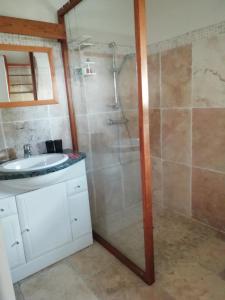 uma casa de banho com um chuveiro e um lavatório. em La Maison de Joindy em Saint-Cyprien