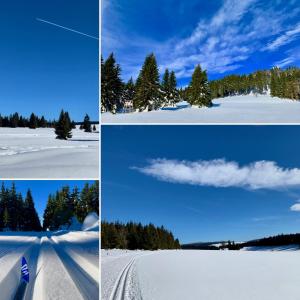 Apartmán SKI Plešivec pozimi