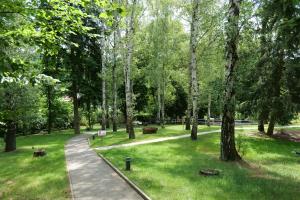 Vonkajšia záhrada v ubytovaní Penzion Harmony Javorník