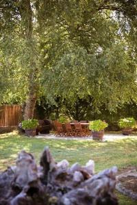 A garden outside Villacambote5
