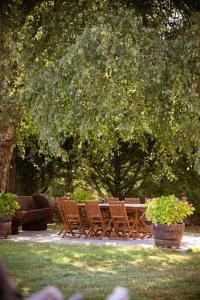 A garden outside Villacambote5