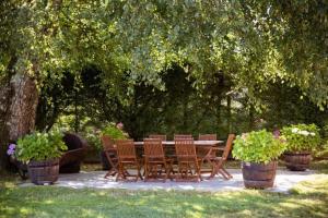 A garden outside Villacambote5