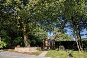 A garden outside Villacambote5