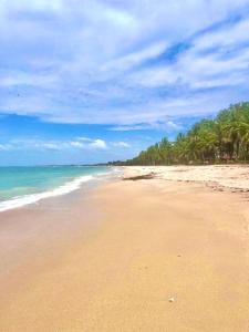 uma praia arenosa com palmeiras e o oceano em Maison Couleur Passion em Nianing