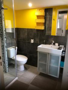 a bathroom with a white toilet and a sink at Chambre studio familiale la Brandonnière in Courson