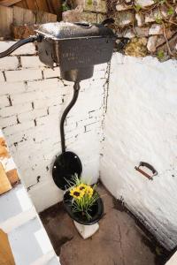 Fotografie z fotogalerie ubytování *Brand New* Lemon Tree Cottage v destinaci Torquay
