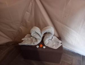 モンテベルデ・コスタリカにあるGlamping Monteverdeの箱の上に座るタオル +37枚の写真