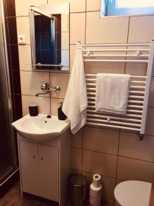 a bathroom with a sink and a mirror and a toilet at Chalupa Zdíkov na Šumavě in Zdíkov