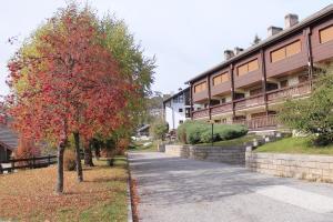 a tree with red leaves next to a building at IL CERVO - Cavalese Olimpiadi 2026, Dolomiti Affitti in Cavalese