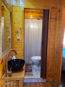 a bathroom with a black sink and a toilet at La Cabaña de Heidi in Concordia