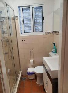 y baño con ducha, aseo y lavamanos. en Casa Baleia á Vista, en São Vicente Ferreira