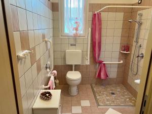 a small bathroom with a toilet and a shower at Agriturismo Le Essenze - Terrazza sulla Romagna in Cesena